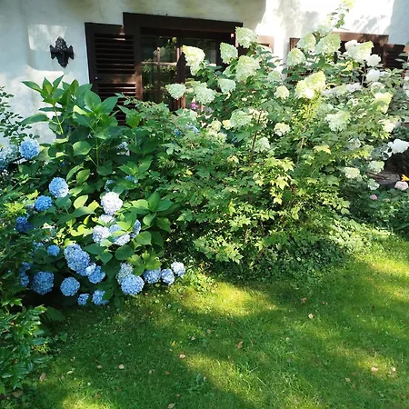 Apartamento I Lunaria *