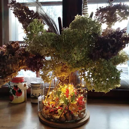 I Lunaria شقة كارباش